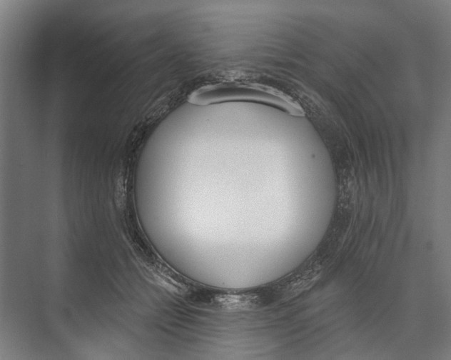 X0000071940558200608041530