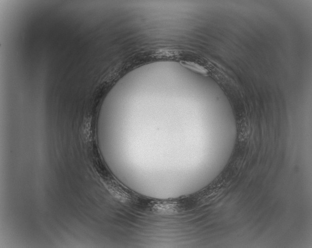 X0000071940560200608041530