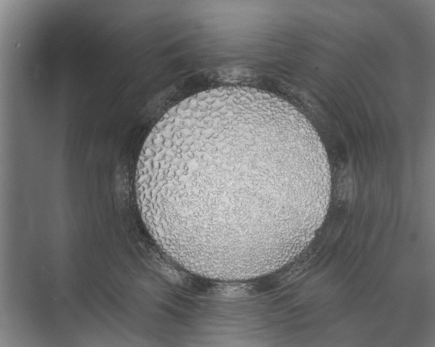 X0000071940569200608041530