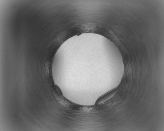 X0000071940570200608041530