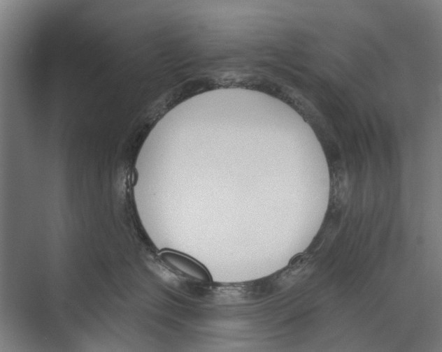 X0000071940574200608041530
