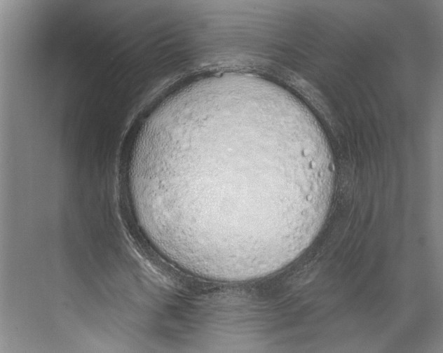 X0000071940578200608041529