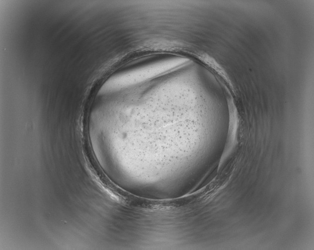 X0000071940581200608041529
