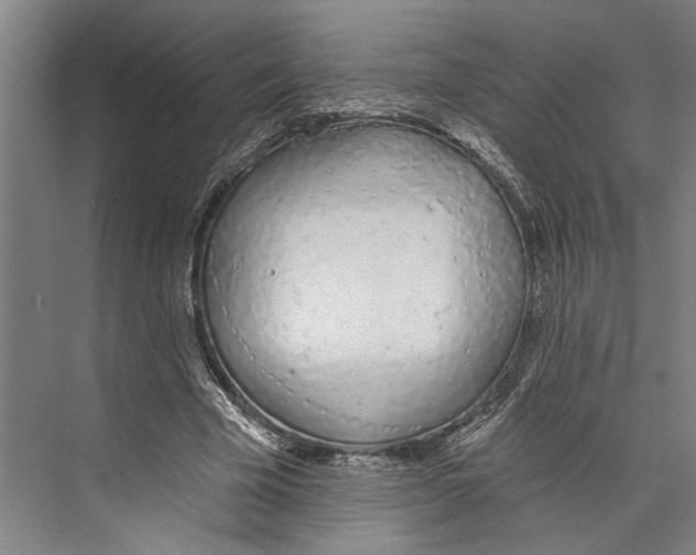 X0000071940585200608041529