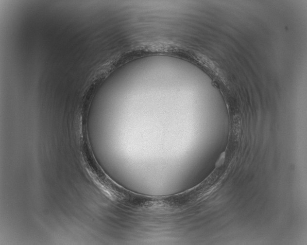 X0000071940589200608041529