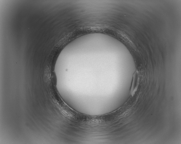 X0000071940593200608041529