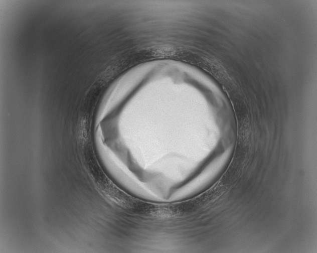 X0000071940598200608041529