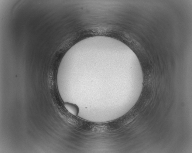 X0000071940599200608041529