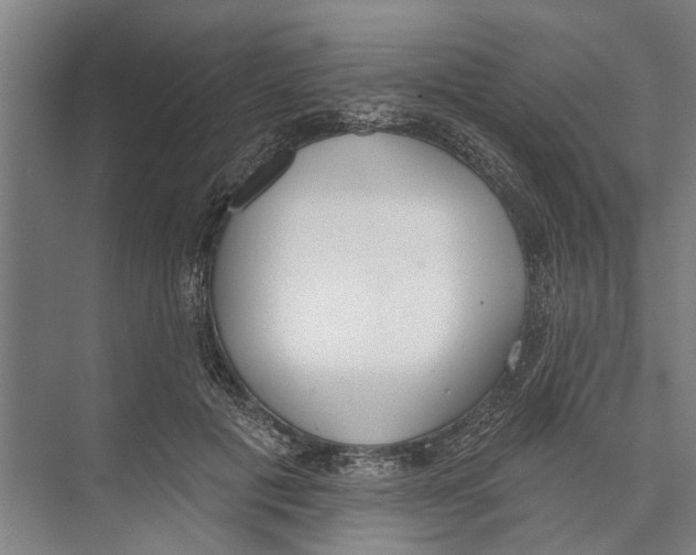 X0000071940601200608041529