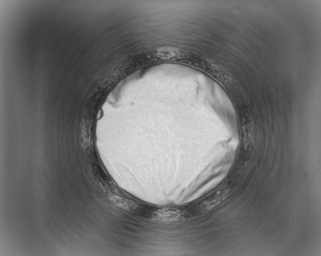X0000071940606200608041529