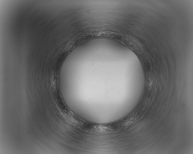 X0000071940607200608041529