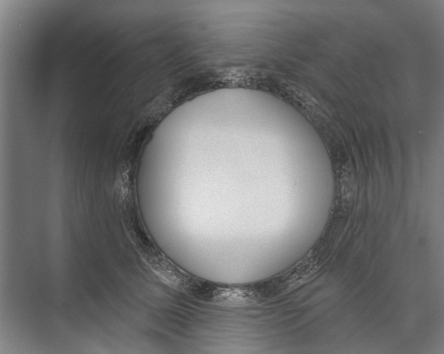 X0000071940611200608041529