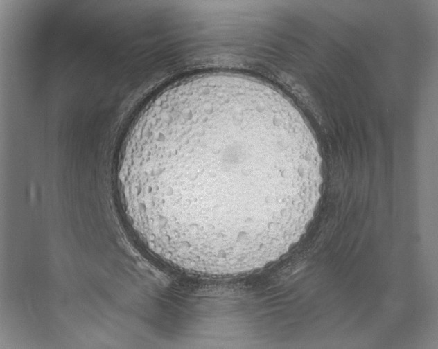 X0000071940625200608041528