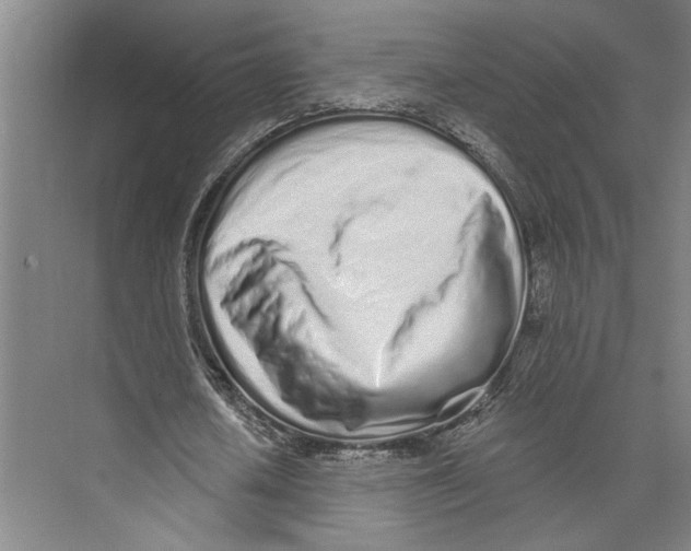 X0000071940626200608041528