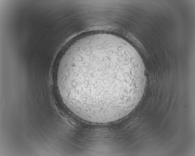 X0000071940628200608041528