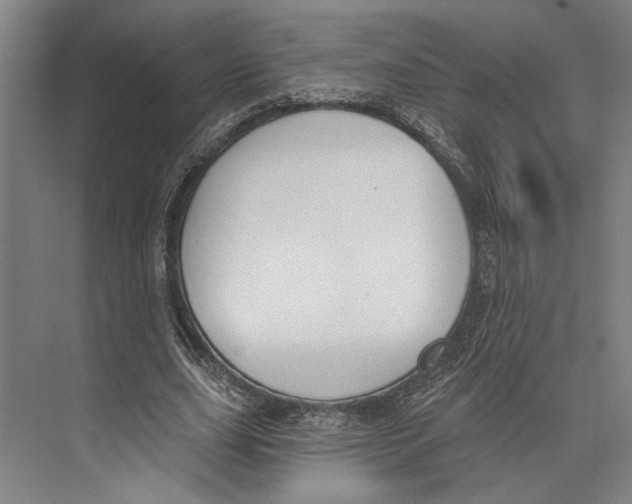X0000071940631200608041528