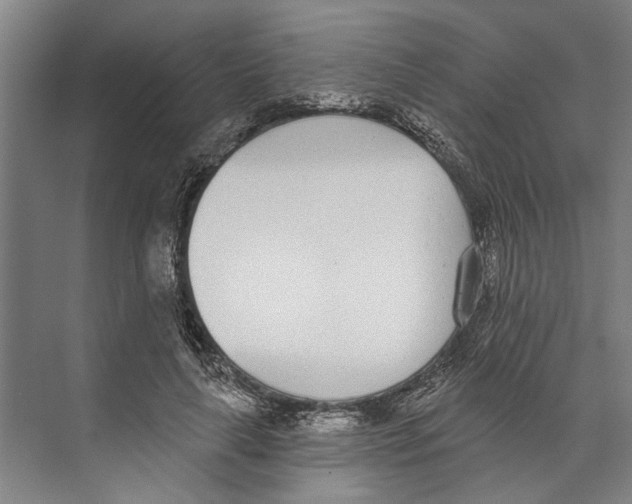 X0000071940643200608041528