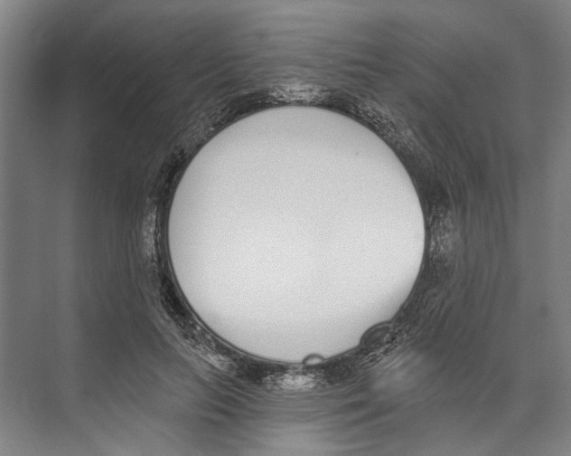 X0000071940647200608041528