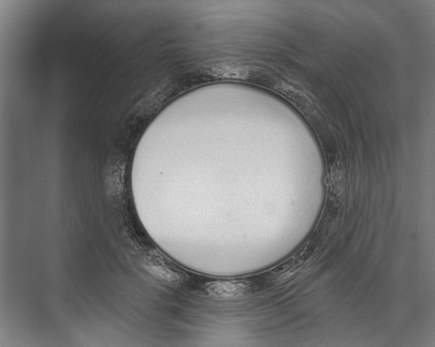 X0000071940652200608041528