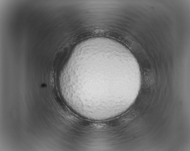 X0000071940654200608041528