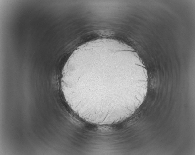 X0000071940666200608041528