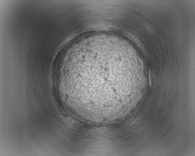 X0000071940675200608041528