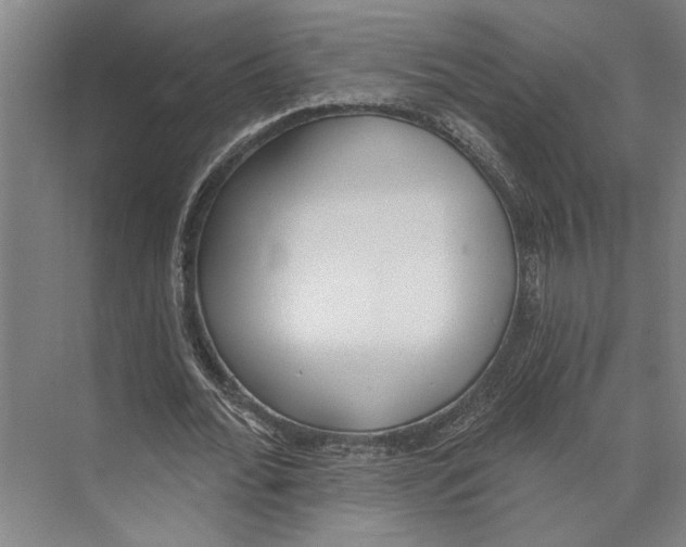 X0000071940676200608041528