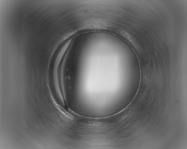 X0000071940677200608041528