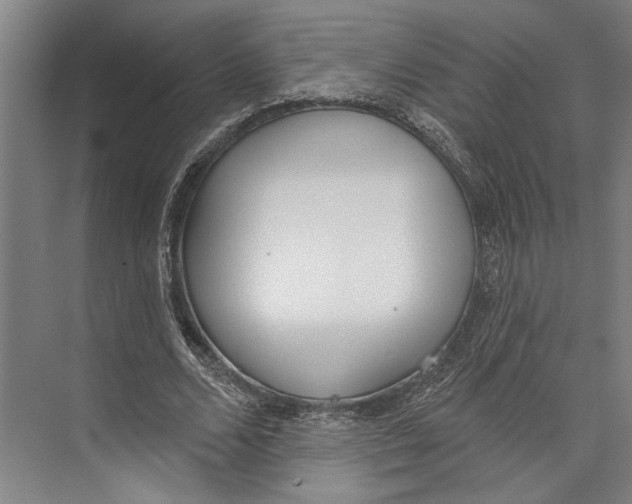 X0000071940680200608041528