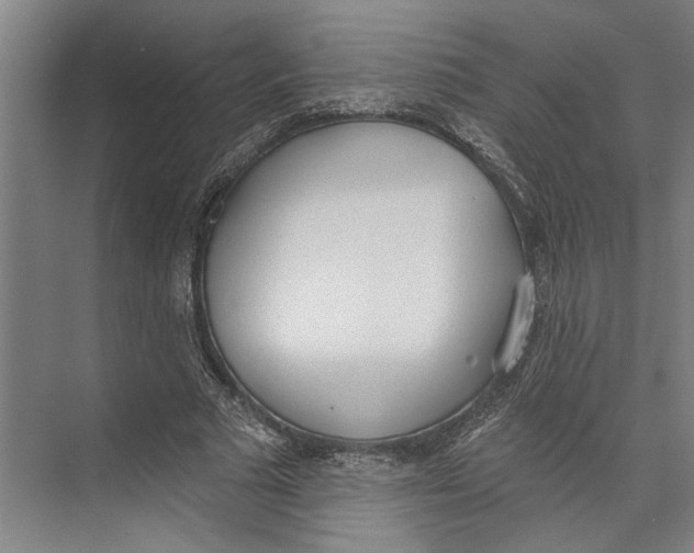 X0000071940681200608041528