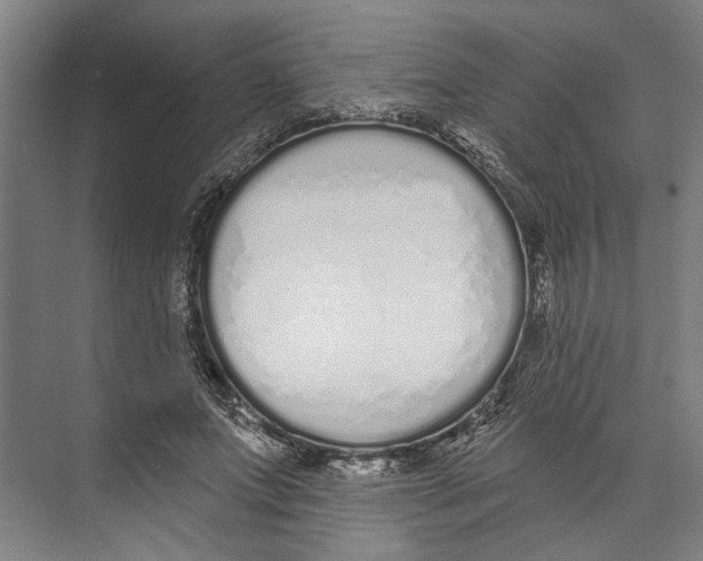 X0000071940687200608041527