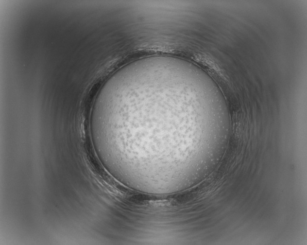 X0000071940692200608041527