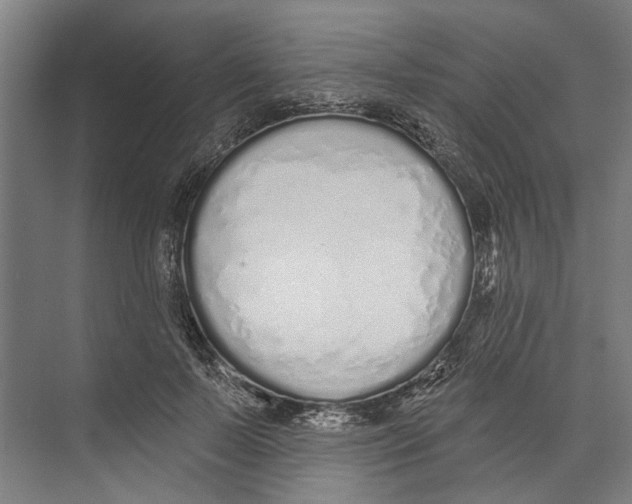 X0000071940695200608041527