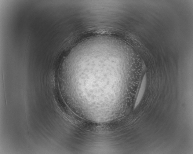 X0000071940696200608041527