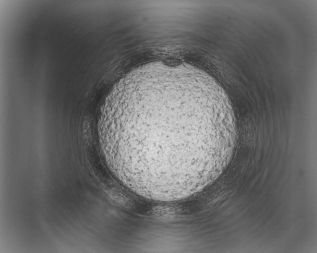 X0000071940699200608041527