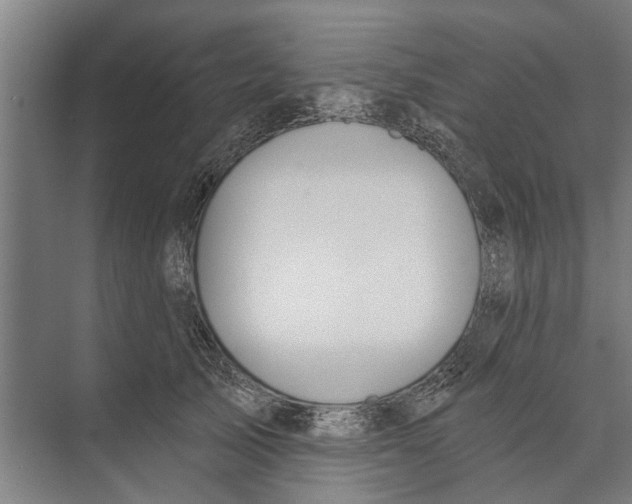 X0000071940705200608041527