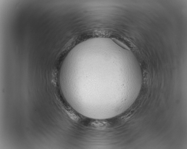 X0000071940712200608041527
