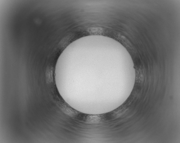 X0000071940717200608041527