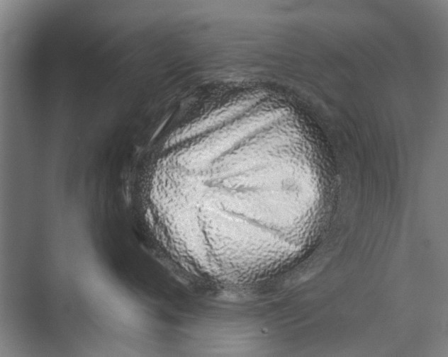 X0000071940720200608041527