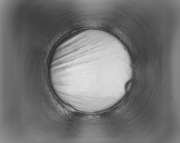 X0000071940721200608041526