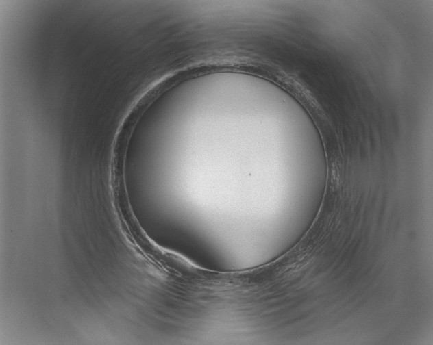 X0000071940724200608041526