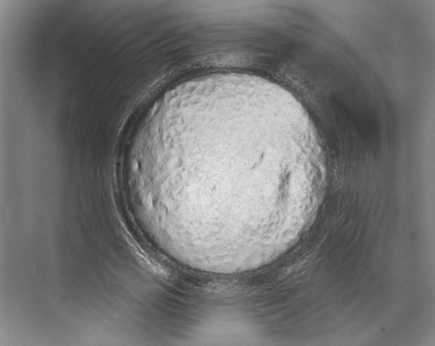 X0000071940725200608041526