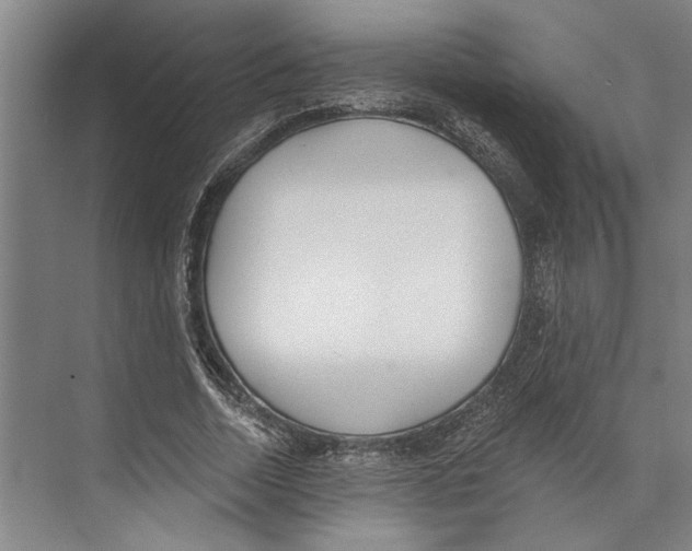 X0000071940730200608041526