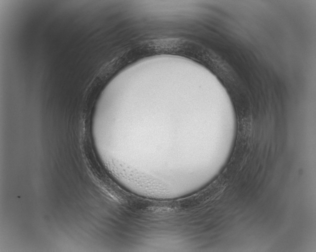 X0000071940733200608041526