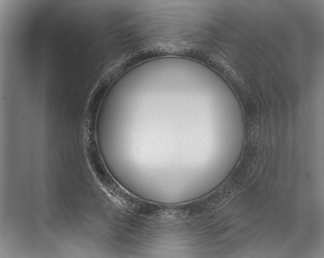 X0000071940736200608041526