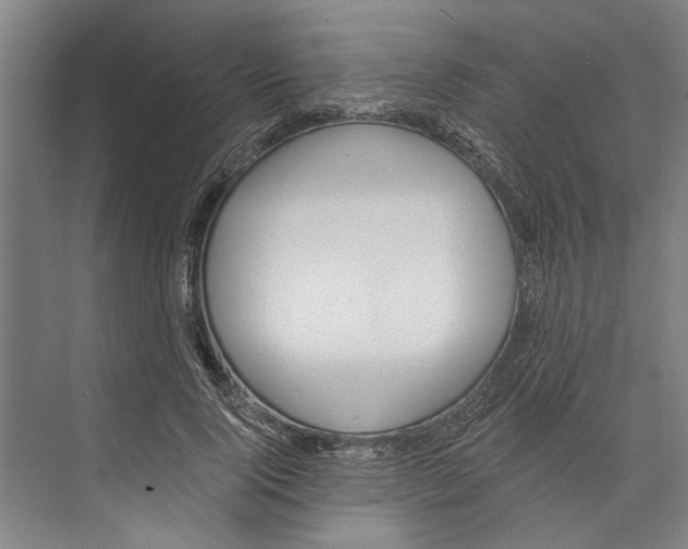 X0000071940740200608041526