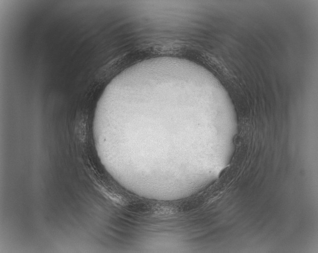 X0000071940741200608041526