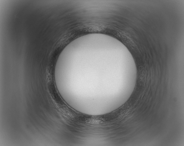 X0000071940743200608041526