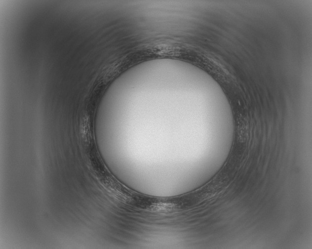 X0000071940748200608041526