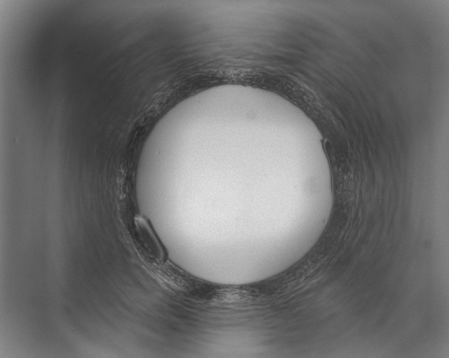 X0000071940750200608041527